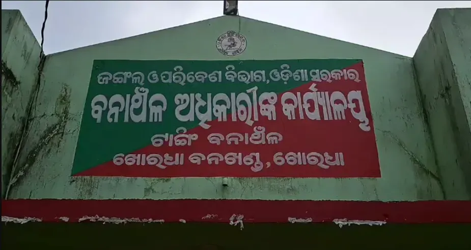 Youth trampled to death in elephant attack in Khordha; lone tusker movement triggers panic