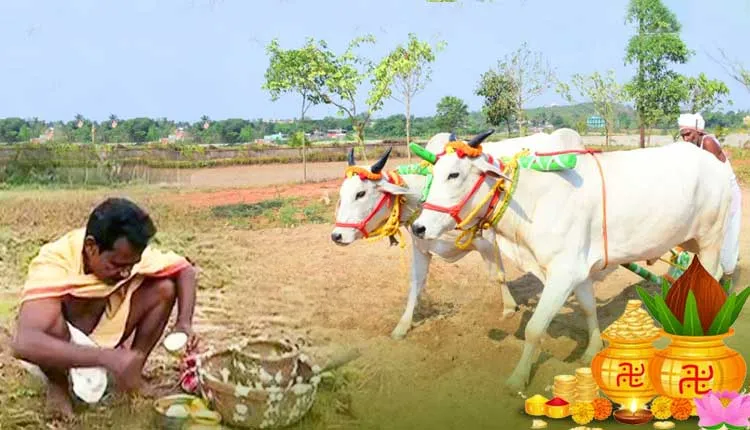 Akshaya Tritiya, also known as Akha Teej, is one of the most revered Hindu festivals celebrated across India, including Odisha. 