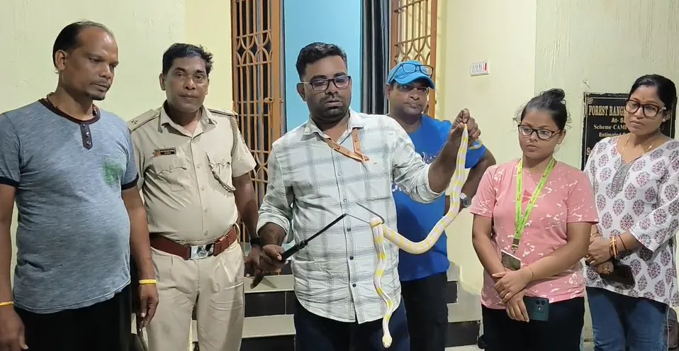Rare Albino Snake rescued in Bhadrak, likely to be shifted to Nandankanan