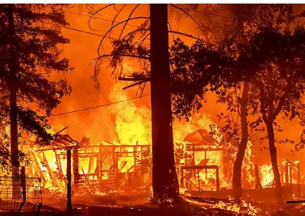 Wildfires erupt across 130+ forests in Odisha

