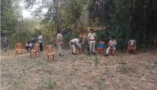 Mother elephant, calf found dead in Odisha's Hindol forest 