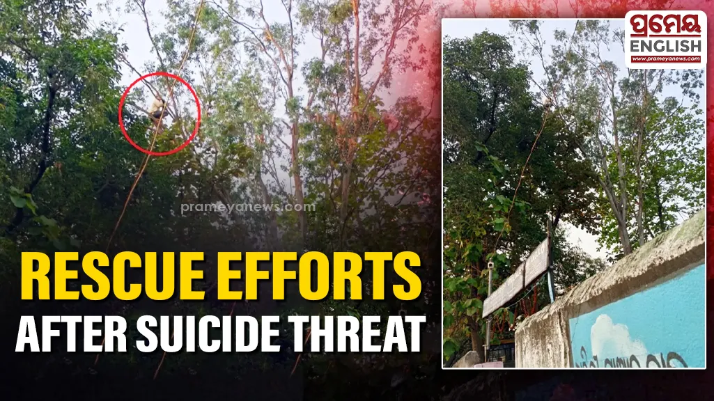 Minor climb 100-foot tree in Angul, threatens suicide over love dispute

