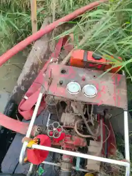 Fire ravages Chilika’s Nalaban, wildlife and birds in Peril