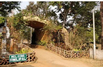 Outside-State Tiger Spotted in Odisha’s Similipal National Park