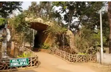 Outside-State Tiger Spotted in Odisha’s Similipal National Park