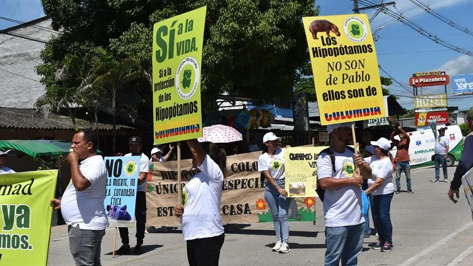 Anant Ambani Offers Global Sanctuary to Save 80 Colombian Hippos from Culling