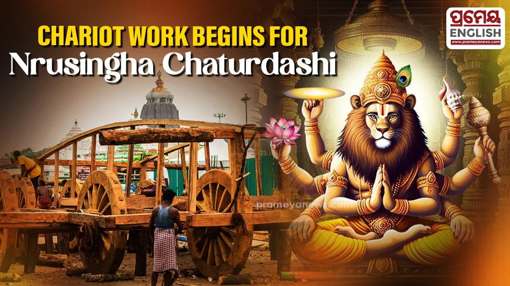 Preparations underway for chariot construction ahead of Nrusingha Chaturdashi

