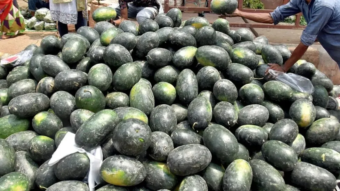 Why Watermelon Can Turn Toxic During Summer Heat If Handled Wrongly