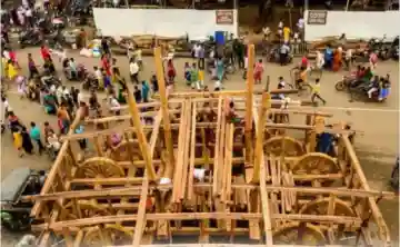 Preparations underway for chariot construction ahead of Nrusingha Chaturdashi