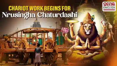 Preparations underway for chariot construction ahead of Nrusingha Chaturdashi
