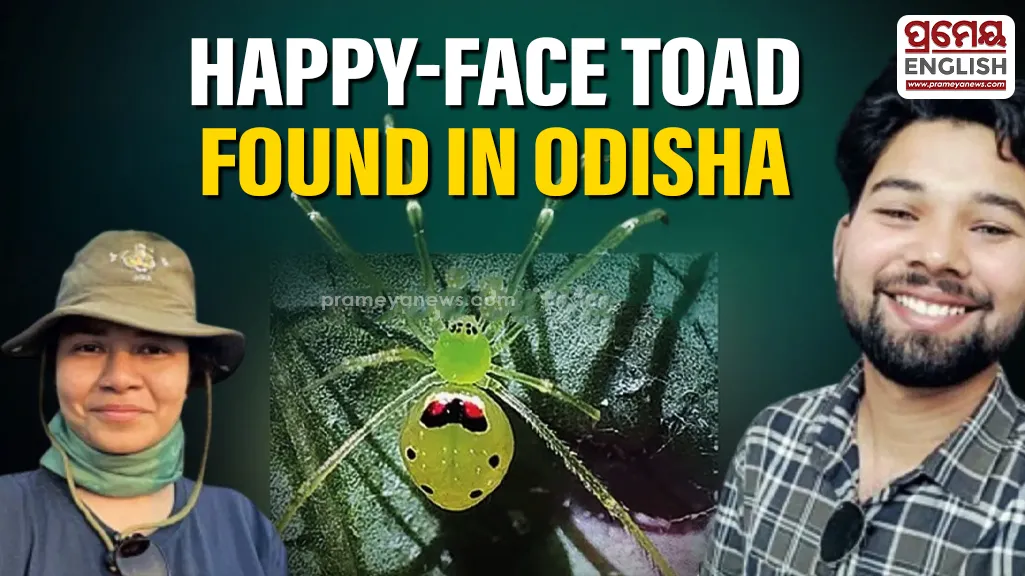 Odisha welcomes unique ‘Happy-Face’ Toad from Himalayas
