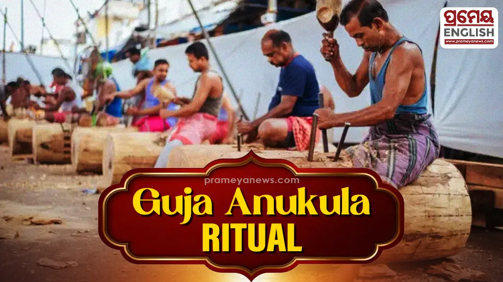 Nrusingha Chaturdashi: Guja Anukula ritual accelerates Rath Yatra chariot construction at Puri


