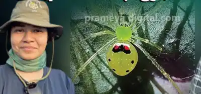 Odisha welcomes unique ‘Happy-Face’ Toad from Himalayas