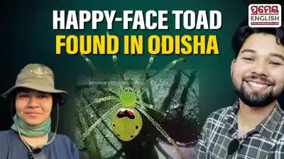 Odisha welcomes unique ‘Happy-Face’ Toad from Himalayas