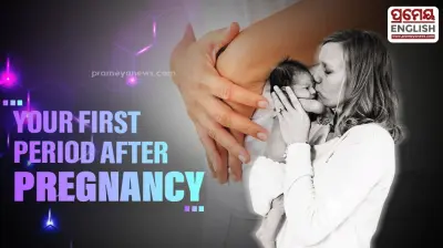 Postpartum Menstruation Realities Every New Mother Should know