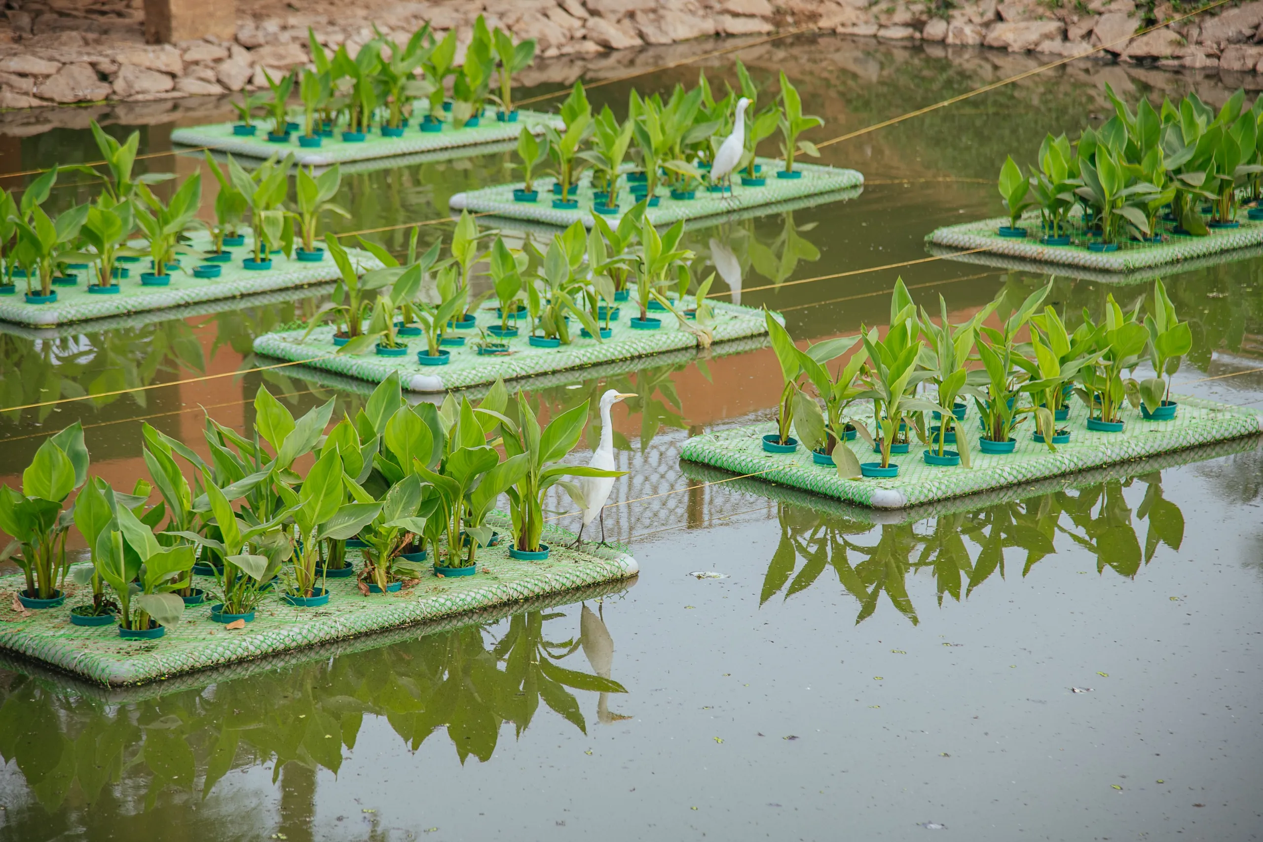 Odisha emerges as national leader in AMRUT 2.0 implementation

