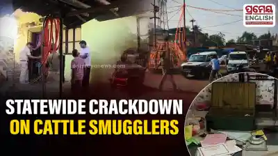 Odisha police tighten noose on cattle smugglers with statewide raids