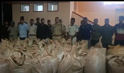 Odisha police seize ganja worth Rs 3Cr from hilltop in Gajapati