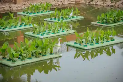 Odisha emerges as national leader in AMRUT 2.0 implementation