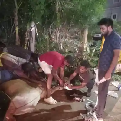 Mercy to animals in distress: Bhubaneswar youths extend selfless care to bull struggling with gangrened hoof