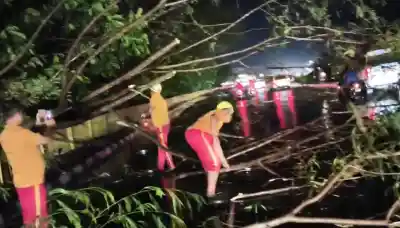 Kalbaisakhi storm batters Bhubaneswar, lightning injures three