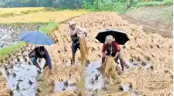 Nor'westers wreak havoc across Balasore, normal life disrupted
