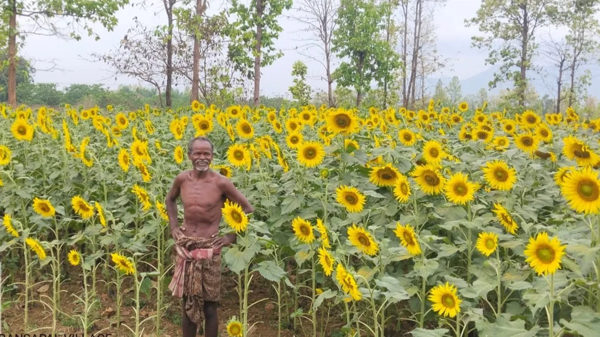 Centre raises Minimum Support Prices for 14 kharif crops

