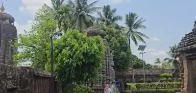 Thieves steal gold & cash from Bhubaneswar Chitrakarini Temple
