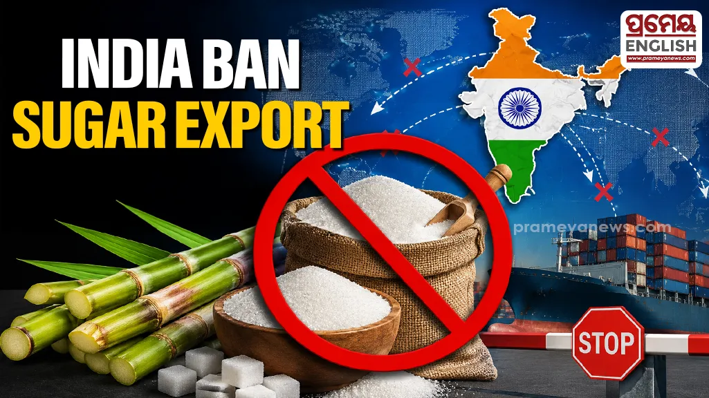 India halts Sugar exports amid domestic price concerns and global uncertainty

