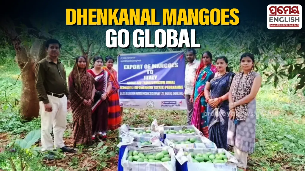 Dhenkanal mangoes reach global markets; 15 tonnes exported in two weeks