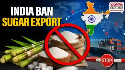 India halts Sugar exports amid domestic price concerns and global uncertainty