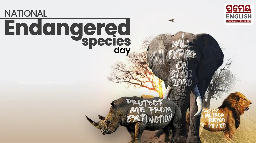 National Endangered Species Day: Urgent action needed to protect earth’s fragile wildlife