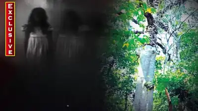 The 400-year-old haunted Chhatian tree of Kuldiha Sanctuary