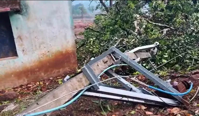 Kalbaishakhi in Kandhamal damages trees & power lines, villagers left without electricity

