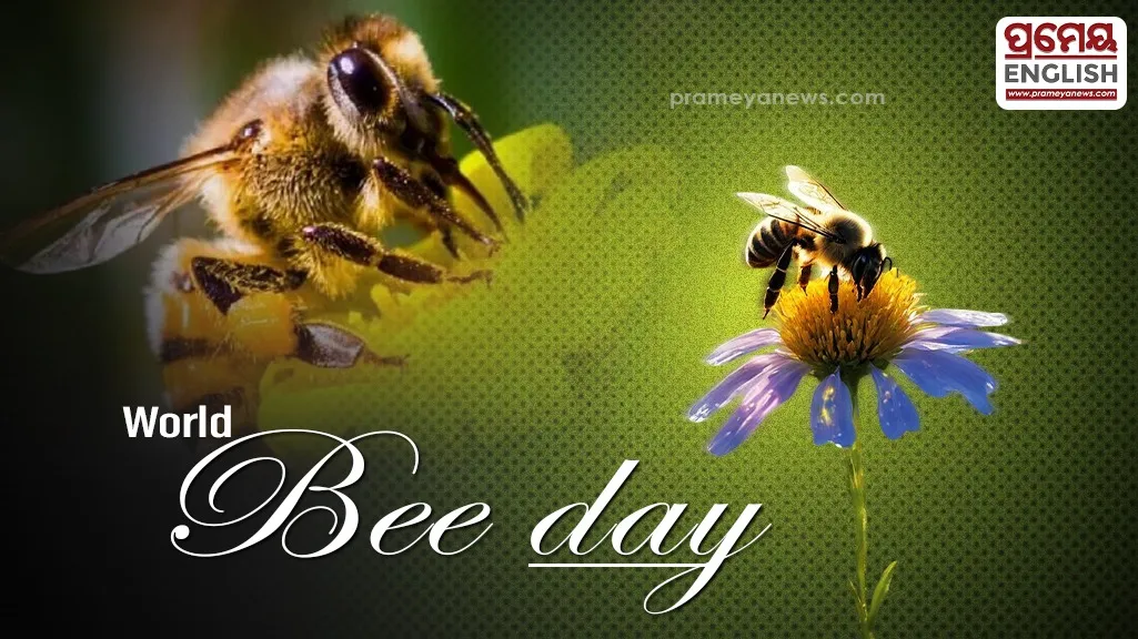 World Bee Day 2026 uncovers wild honey harvesting secrets across rural India