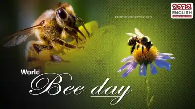World Bee Day 2026 uncovers wild honey harvesting secrets across rural India