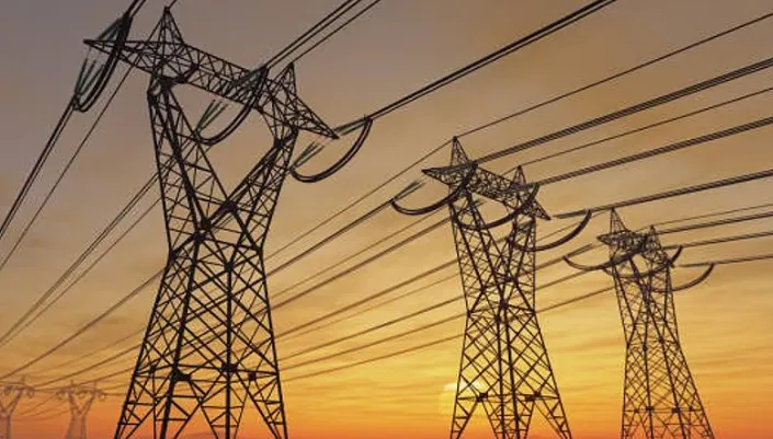 Heat wave pushes India's daytime peak power demand to record 270.82 GW: Govt
