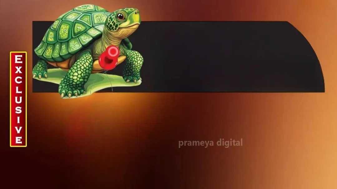 Olive Ridley Mass nesting fails to take place at Gahirmatha, raising environmental concerns

