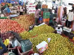 El Nino, Strait of Hormuz risks may fuel fresh global food inflation surge: Citi Research Report