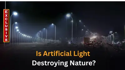 Bright LED streetlights emerging as silent threat to biodiversity in Odisha cities