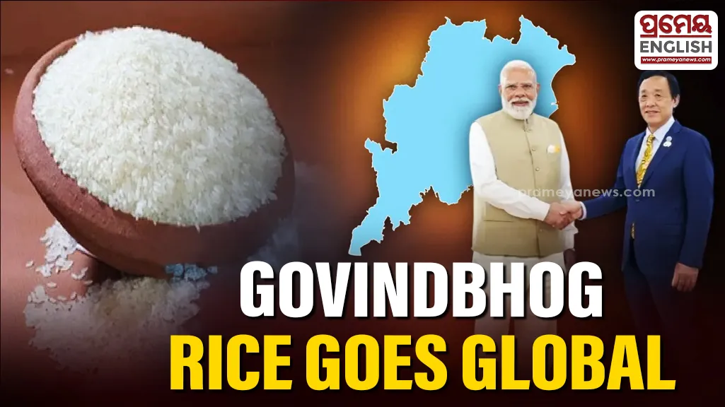 Odisha’s ‘Govindbhog’ rice gains global attention after being featured in PM Modi’s diplomatic gift

