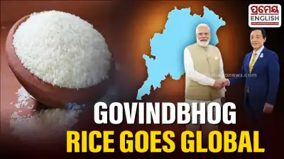 Odisha’s ‘Govindbhog’ rice gains global attention after being featured in PM Modi’s diplomatic gift