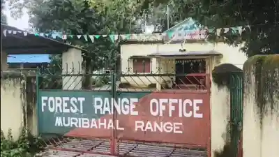 Balangir elephant death: Court issues non-bailable warrants against 3