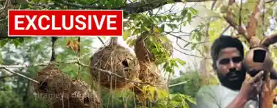 Daily wage worker turns ‘Bird Protector’, installs 5,000 clay nests in Bolangir