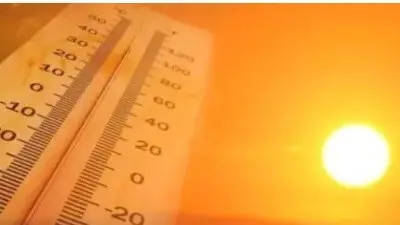 Union Cabinet discusses prevailing heatwave situation, PM Modi calls for whole-of-the-nation approach