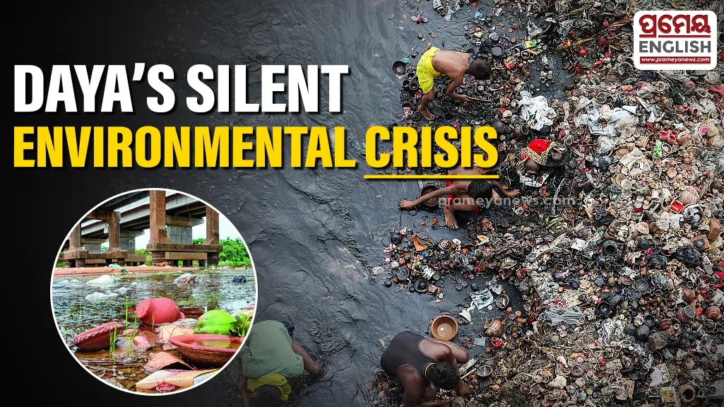  The condition of the once-serene Daya River has turned alarming, exposing a grim picture of pollution, negligence, and administrative apathy right on the outskirts of the capital city