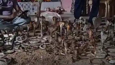 Over 90 snake bars & idols recovered from Mahanadi in Cuttack