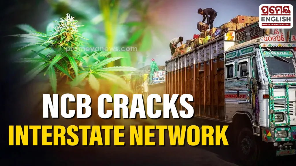 NCB busts Odisha–Kashmir Ganja smuggling network, two arrested


