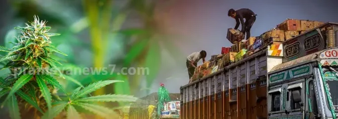 NCB busts Odisha–Kashmir Ganja smuggling network, two arrested
