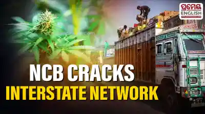 NCB busts Odisha–Kashmir Ganja smuggling network, two arrested